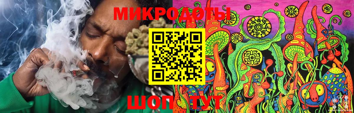 Псилоцибиновые грибы Cubensis Карталы